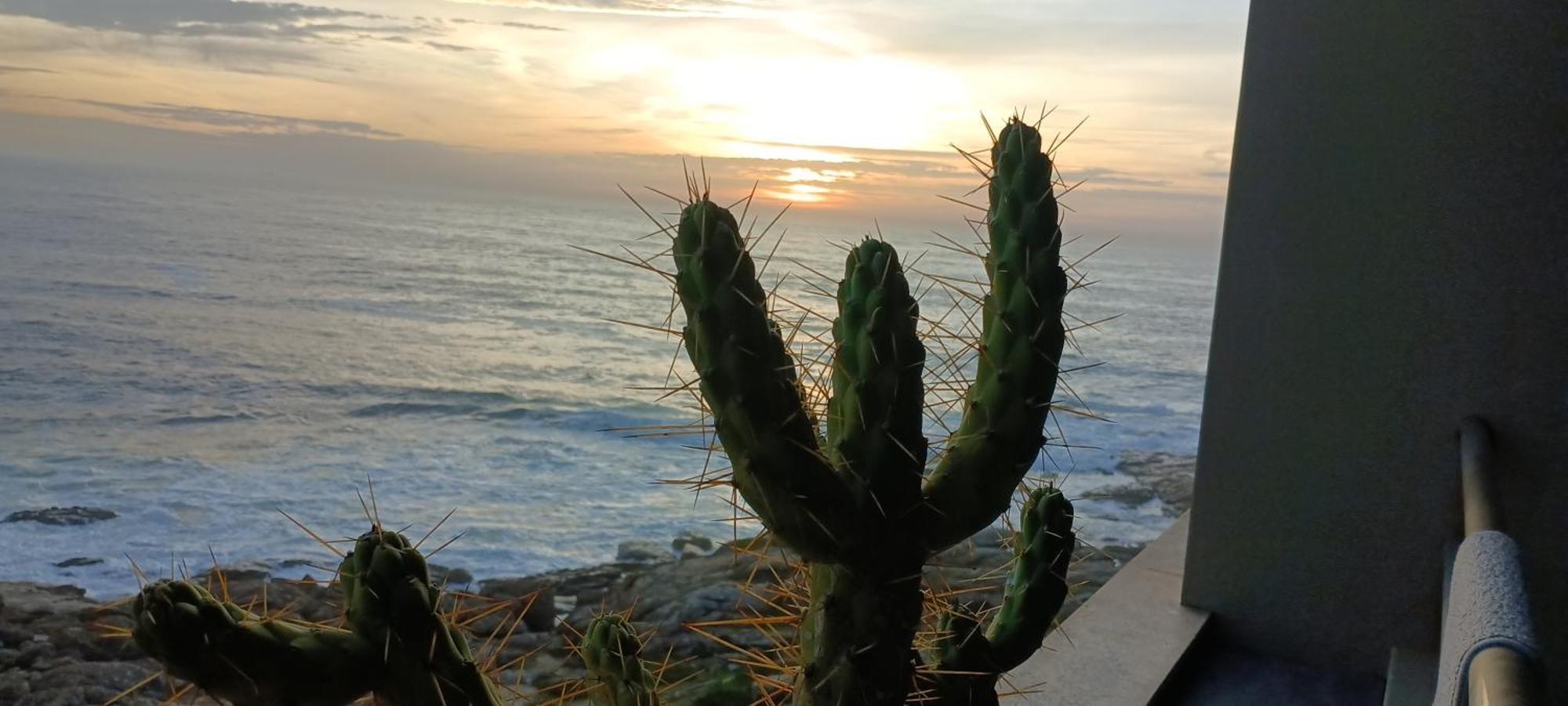 Matosinhos -seas Apartment- Cabo Mares
