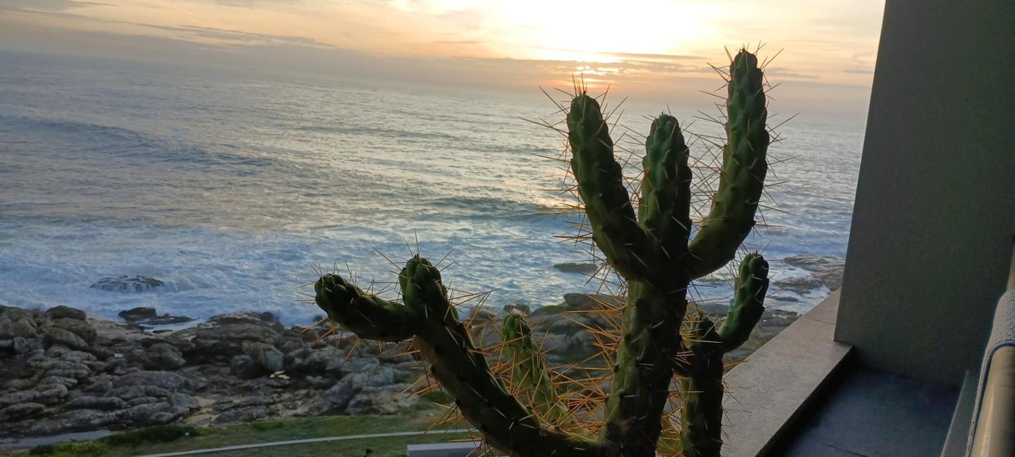 Appartamento Matosinhos -seas Apartment- Cabo Mares *