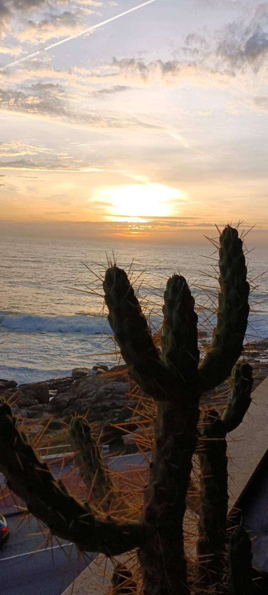 Matosinhos -seas Apartment- Cabo Mares *