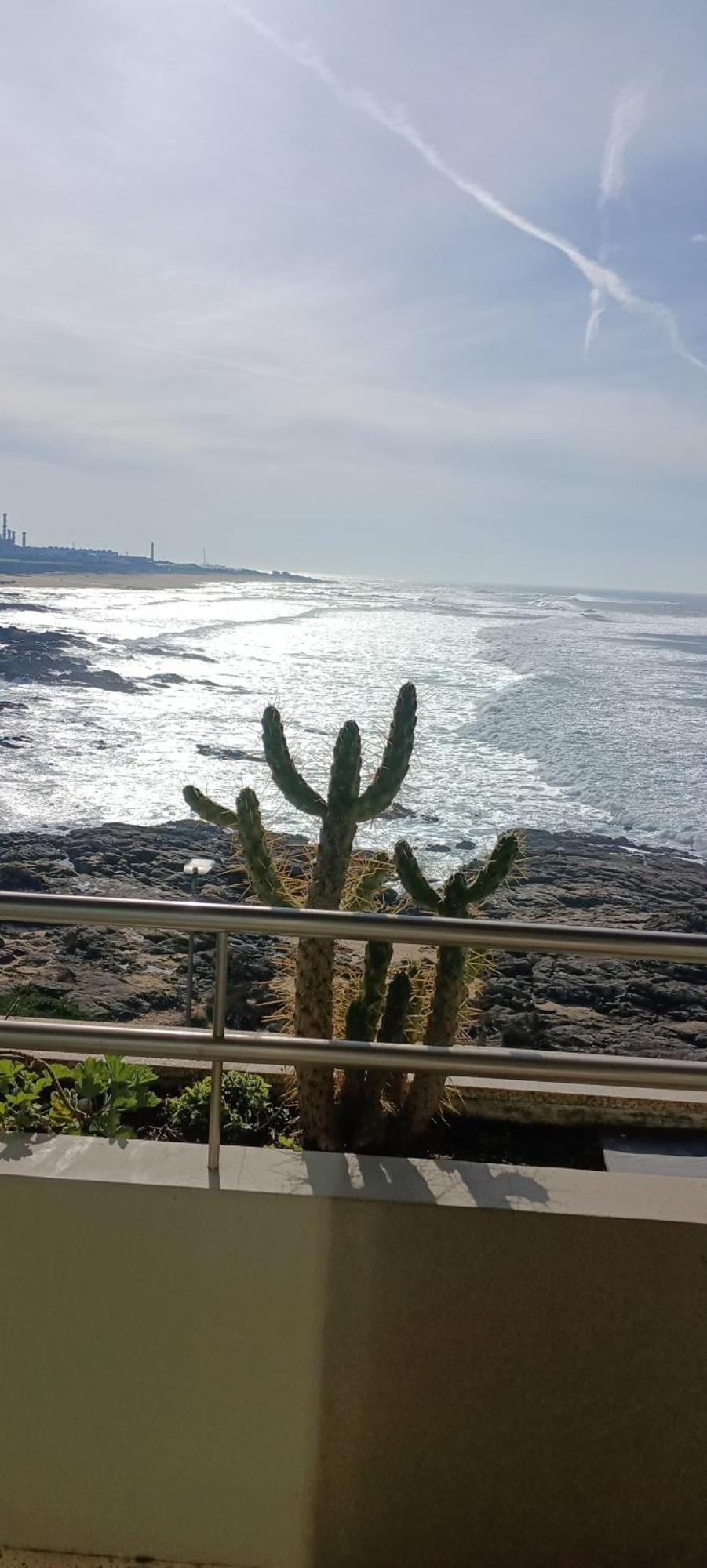 Apartment Matosinhos -seas Apartment- Cabo Mares