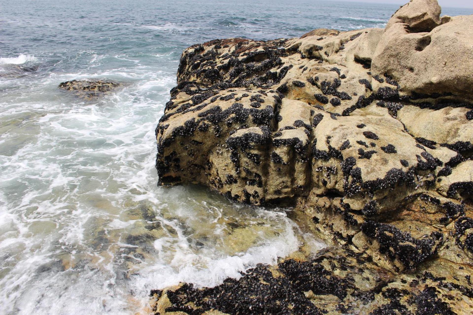 Matosinhos -seas Apartment- Cabo Mares Apartment *