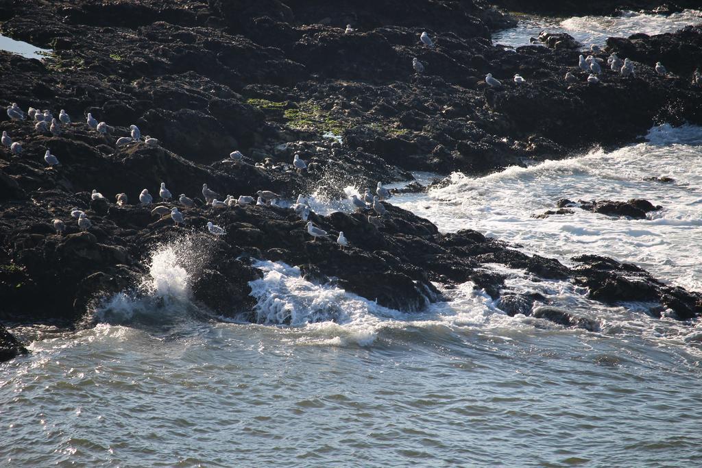 Matosinhos -seas Apartment- Cabo Mares Matosinhos (Porto)